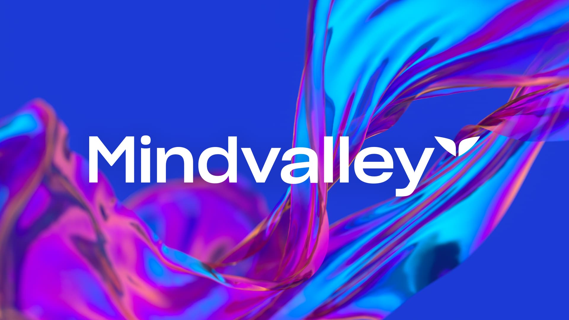 Mind Valley transformation platform